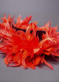 Goose feathers Twisted feathers, coral, 15cm