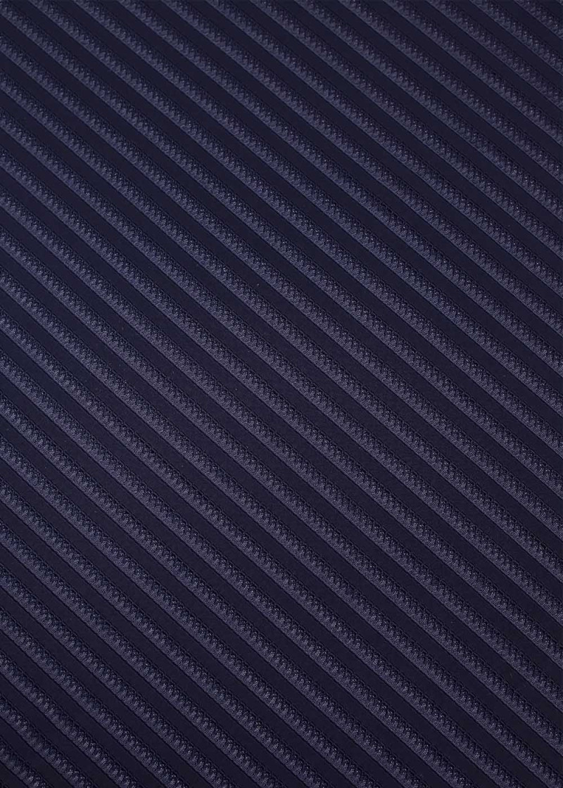 Texture Lycra STRIP 90%polyamide, 10%elastane, dark blue, 1.7m