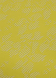 Texture Lycra RICARDO 60%polyamide, 40%elastane, yellow, 1.65m