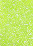 Stretch lace SANDRA 60%polyamide, 40%elastane, lime green, 1.5m