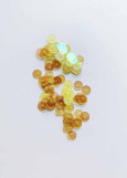 Chameleon paillettes lemon, 3