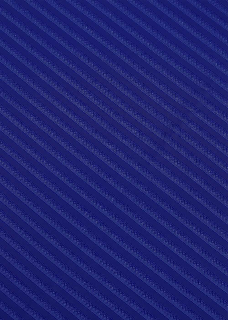 Texture Lycra STRIP 90%polyamide, 10%elastane, cornflower blue, 1.7m