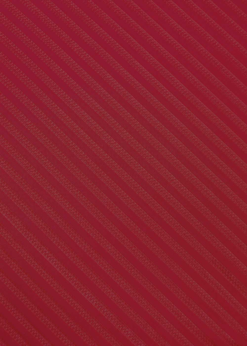 Texture Lycra STRIP 90%polyamide, 10%elastane, red, 1.7m