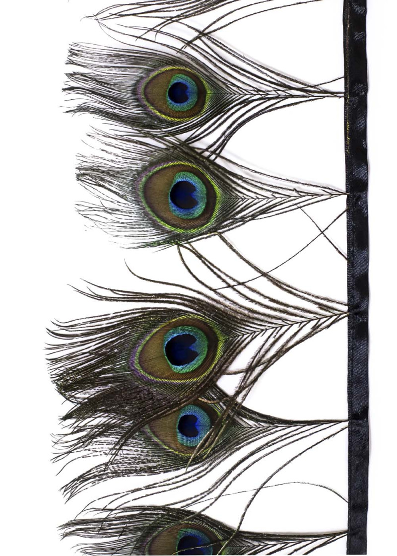 Peacock feathers feathers, emerald, 16cm