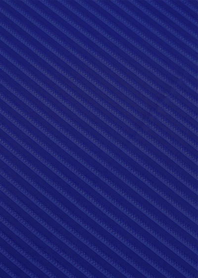 Texture Lycra STRIP 90%polyamide, 10%elastane, cornflower blue, 1.7m