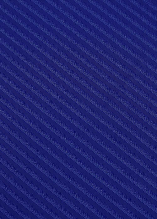 Texture Lycra STRIP 90%polyamide, 10%elastane, cornflower blue, 1.7m