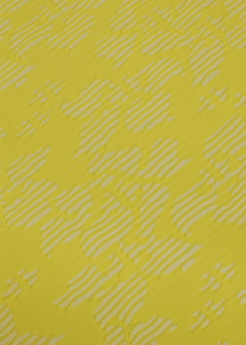 Texture Lycra RICARDO 60%polyamide, 40%elastane, yellow, 1.65m