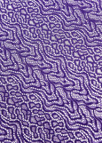 Stretch lace CATHARINA 60%polyamide, 40%elastane, dark violet, 1.45m