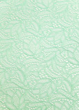 Stretch lace SANDRA 60%polyamide, 40%elastane, mint, 1.5m