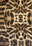 Animal print on stretch velvet ANIMAL 90%polyamide, 10%elastane, brown, 1.5m