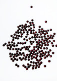 Rhinestones Elizabeth CLASSIC ss20 (HF) Garnet(131)