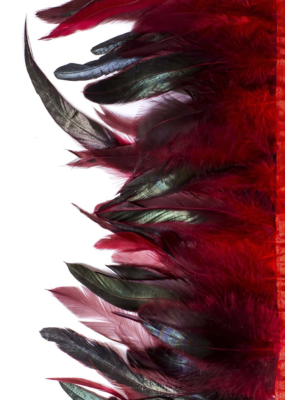 Coque feathers fringe